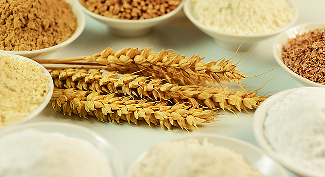 Producer of wheat starch and wheat-based raw materials | Crespel & Deiters