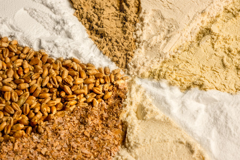 Plant-based raw materials made from wheat, which Trigea refines for animal feed to create highly-functional products, are of a high quality and GMO-free | Crespel & Deiters